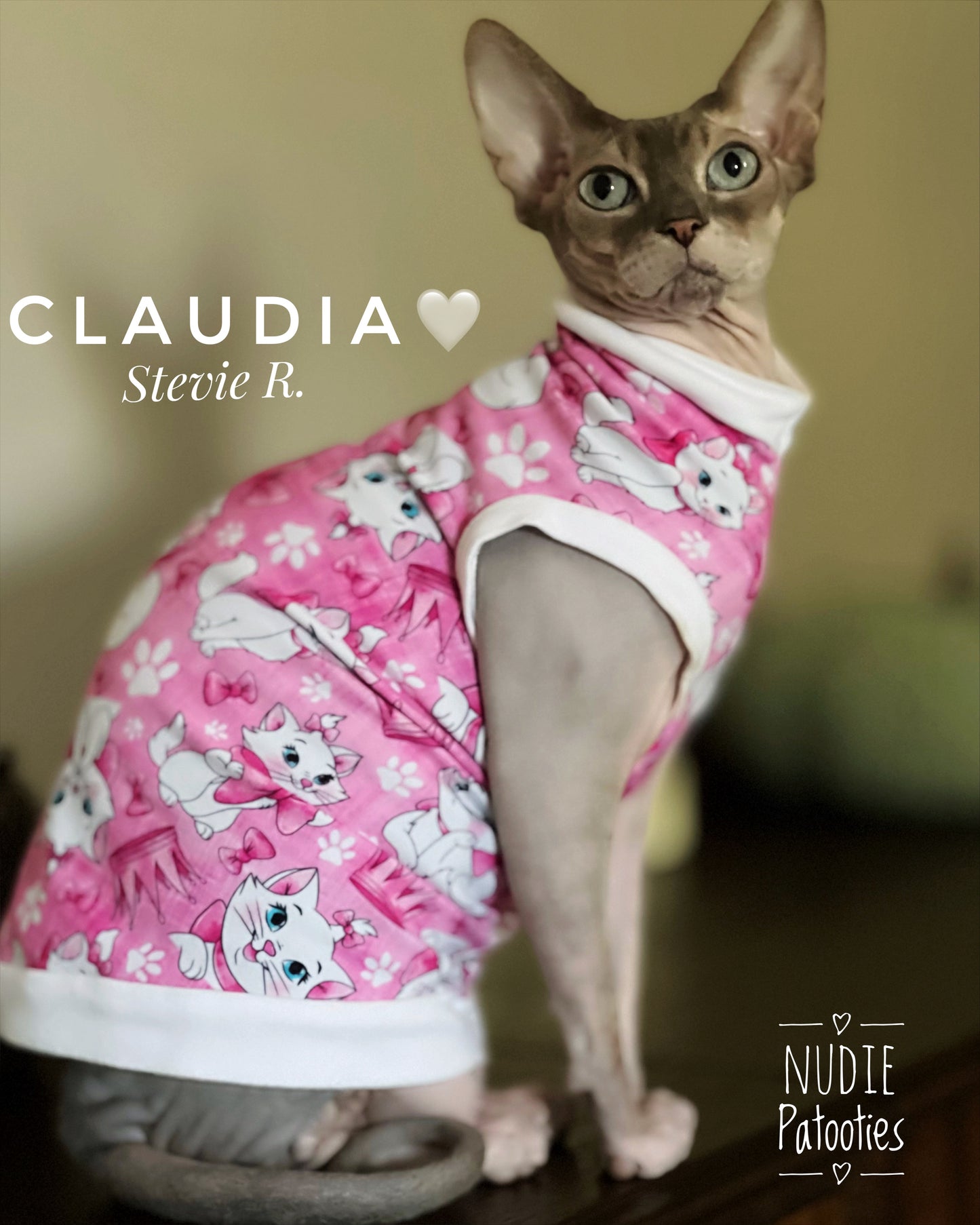 Best Sphynx cat clothing. Hairless cat apparel. Sphynx cat sweaters. Cat clothes for hairless cats. Warm sphynx cat outfits. Sphynx cat hoodies. Cozy cat wear. Cat shirts for Sphynx. Pet clothing for Sphynx cats. Winter clothes for sphynx cats. Sphynx cat fashion. Hairless cat t-shirts. Soft cat jumpers. Seasonal cat clothing.