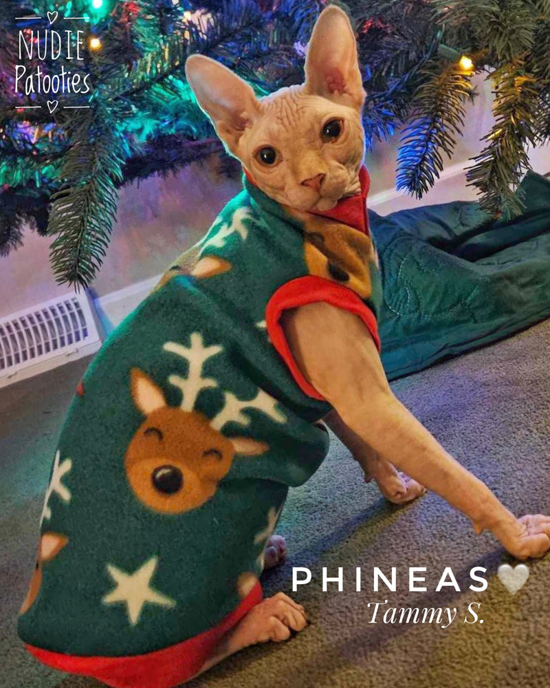 Reindeer on Green Fleece "You Sleigh Me!"