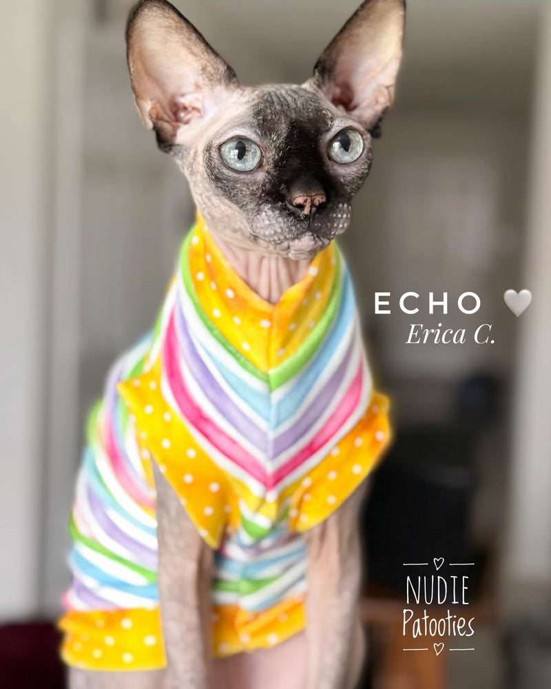 Sphynx cat and kitten bright soft shirt. Best sphynx cat and hairless cat clothes, shirts, sweaters and swag.