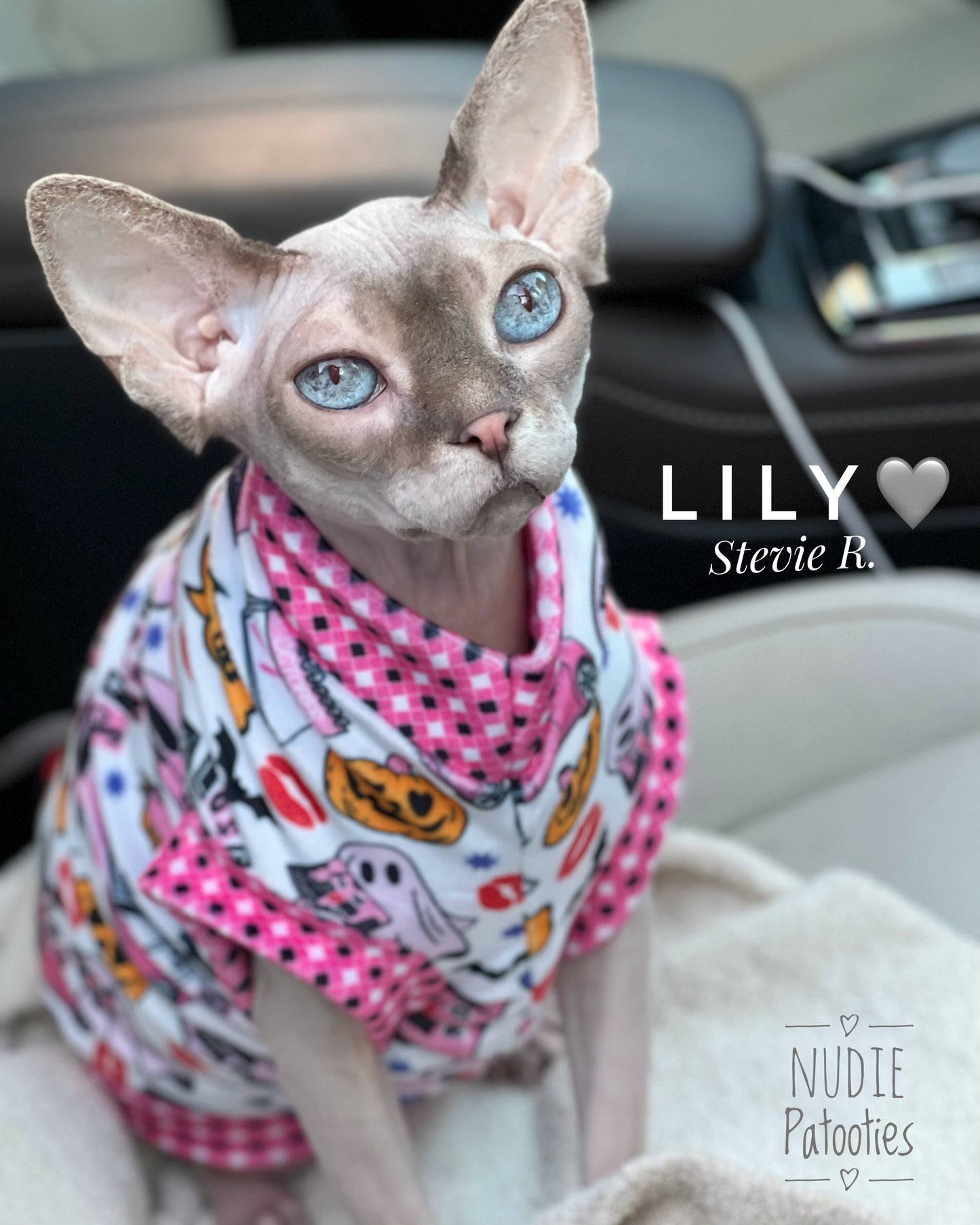 Best Sphynx cat clothing. Hairless cat apparel. Sphynx cat sweaters. Cat clothes for hairless cats. Warm sphynx cat outfits. Sphynx cat hoodies. Cozy cat wear. Cat shirts for Sphynx. Pet clothing for Sphynx cats. Winter clothes for sphynx cats. Sphynx cat fashion. Hairless cat t-shirts. Soft cat jumpers. Seasonal cat clothing.