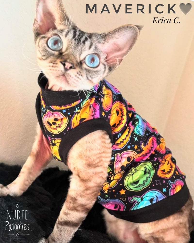 Sphynx cat and kitten neon pumpkins Halloween shirt. Sphynx cat clothes.
