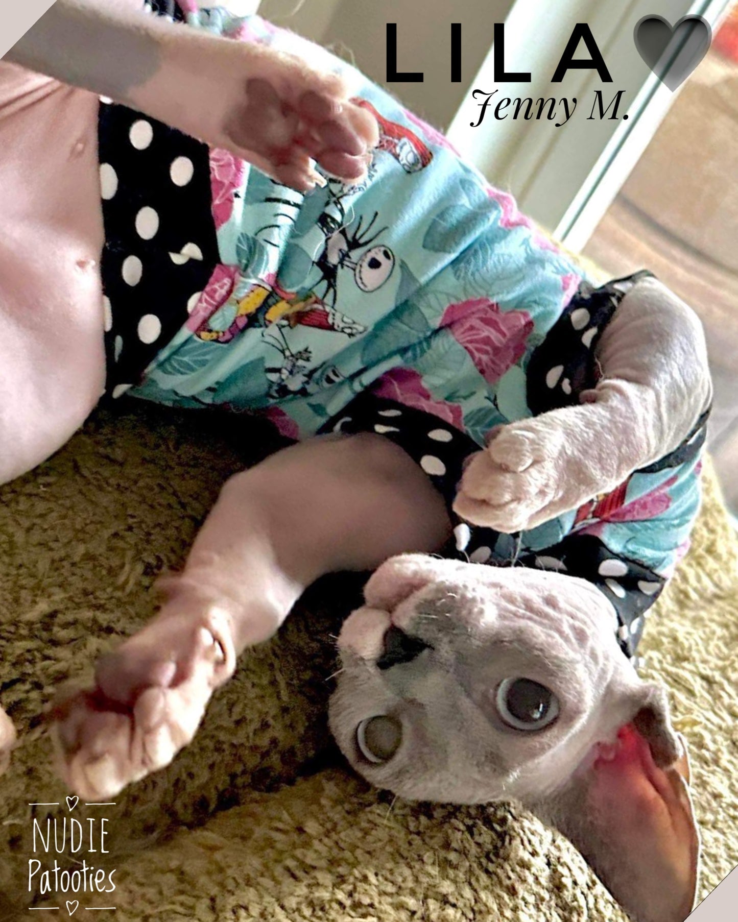 Best Sphynx cat clothing. Hairless cat apparel. Sphynx cat sweaters. Cat clothes for hairless cats. Warm sphynx cat outfits. Sphynx cat hoodies. Cozy cat wear. Cat shirts for Sphynx. Pet clothing for Sphynx cats. Winter clothes for sphynx cats. Sphynx cat fashion. Hairless cat t-shirts. Soft cat jumpers. Seasonal cat clothing.