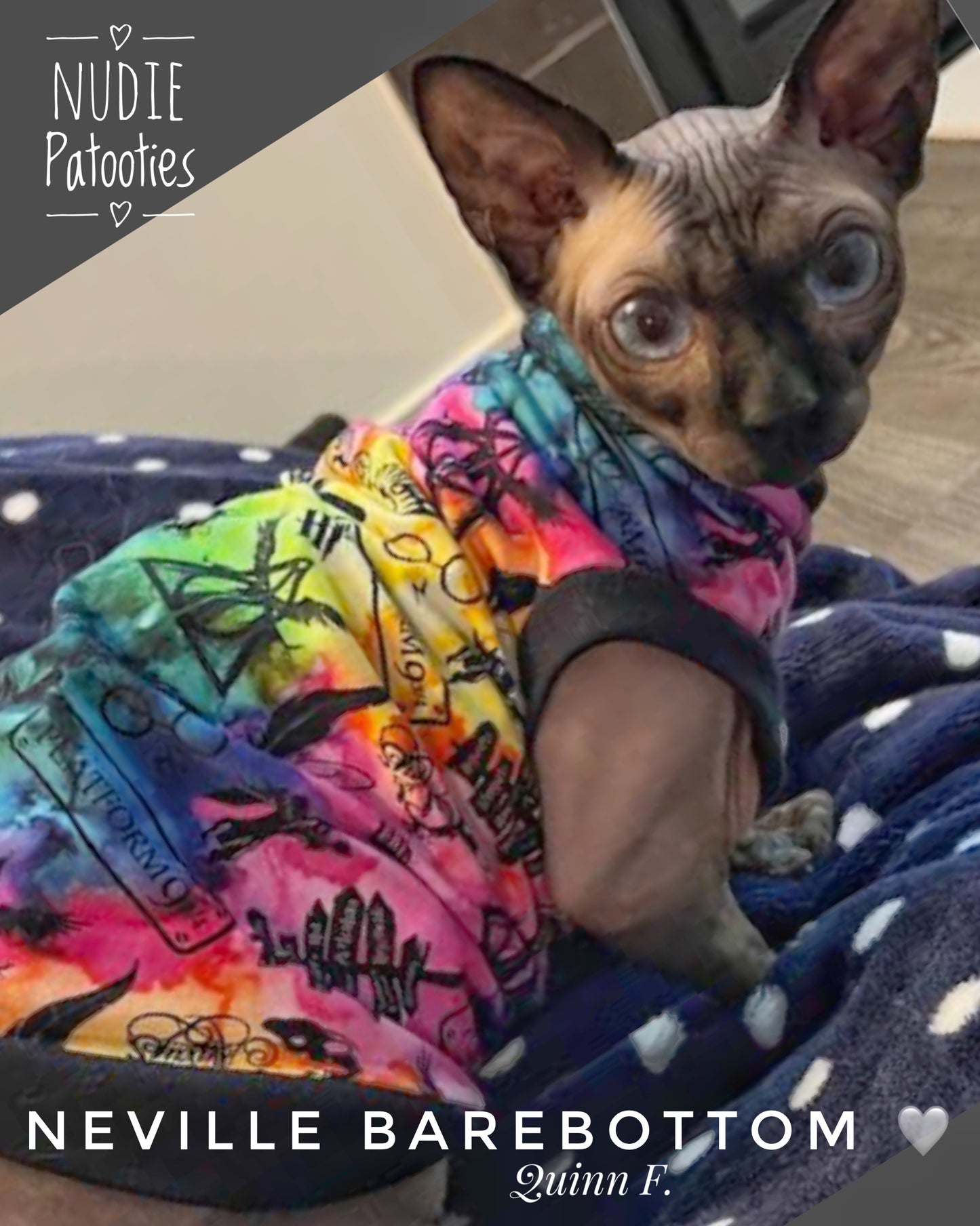 sohynx cat and kitten shirt. sphynx cat clothes