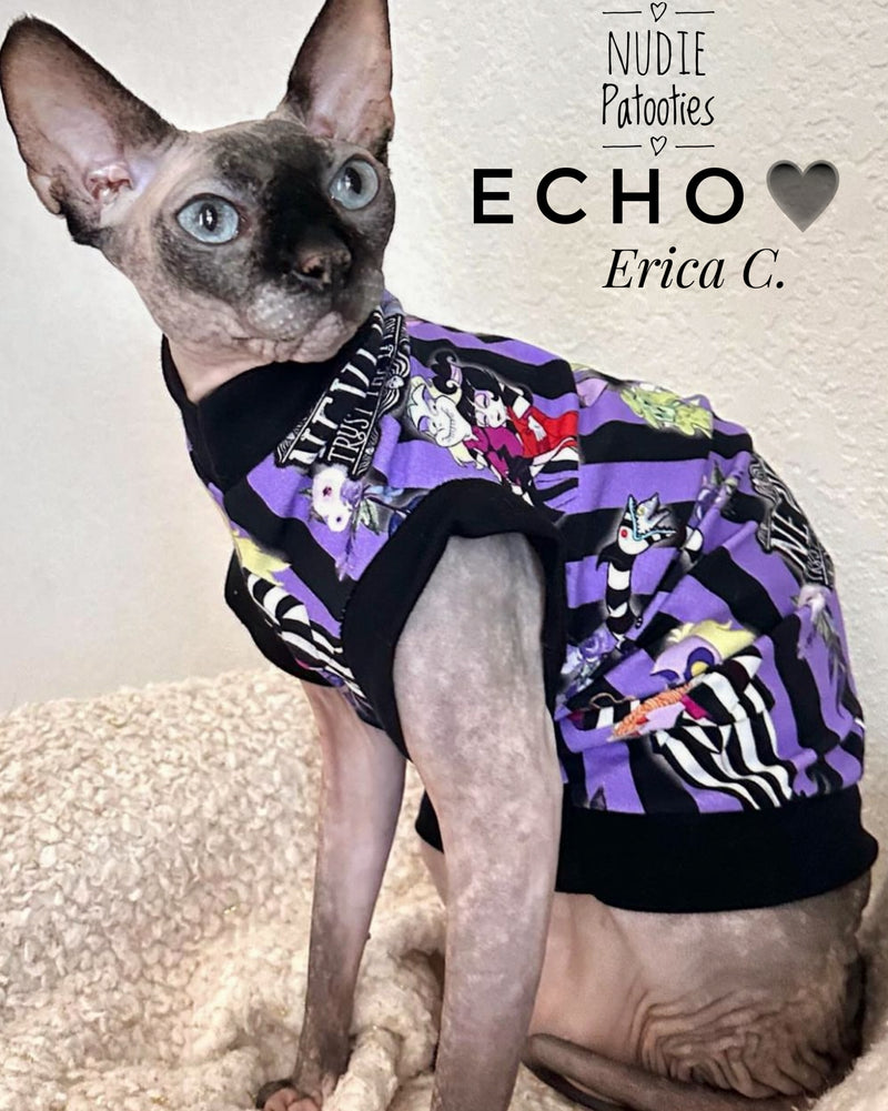 sphynx cat and kitten shirt. sphynx cat clothes