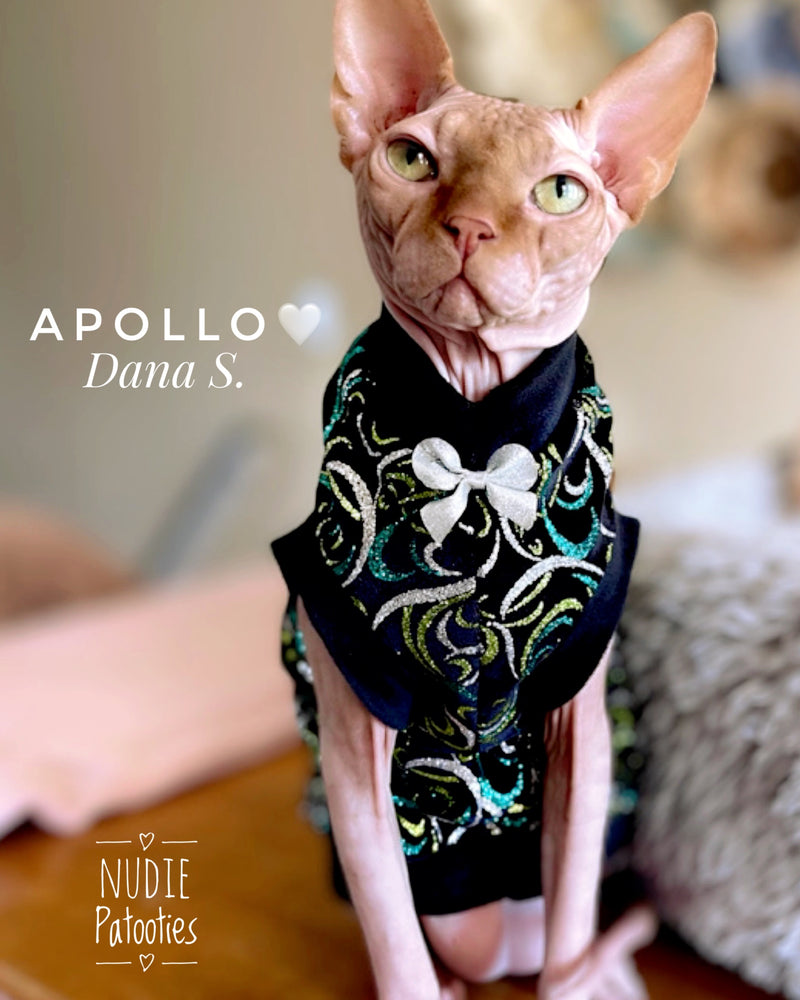 Sphynx cat holiday shirt. Best Sphynx cat clothes
