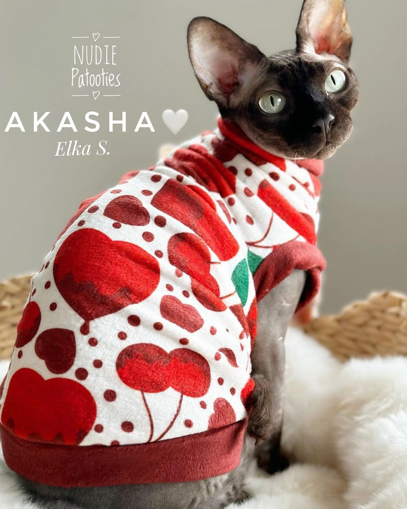 Valentine’s Day sphynx cat and kitten warm shirt. Sphynx cat clothes.