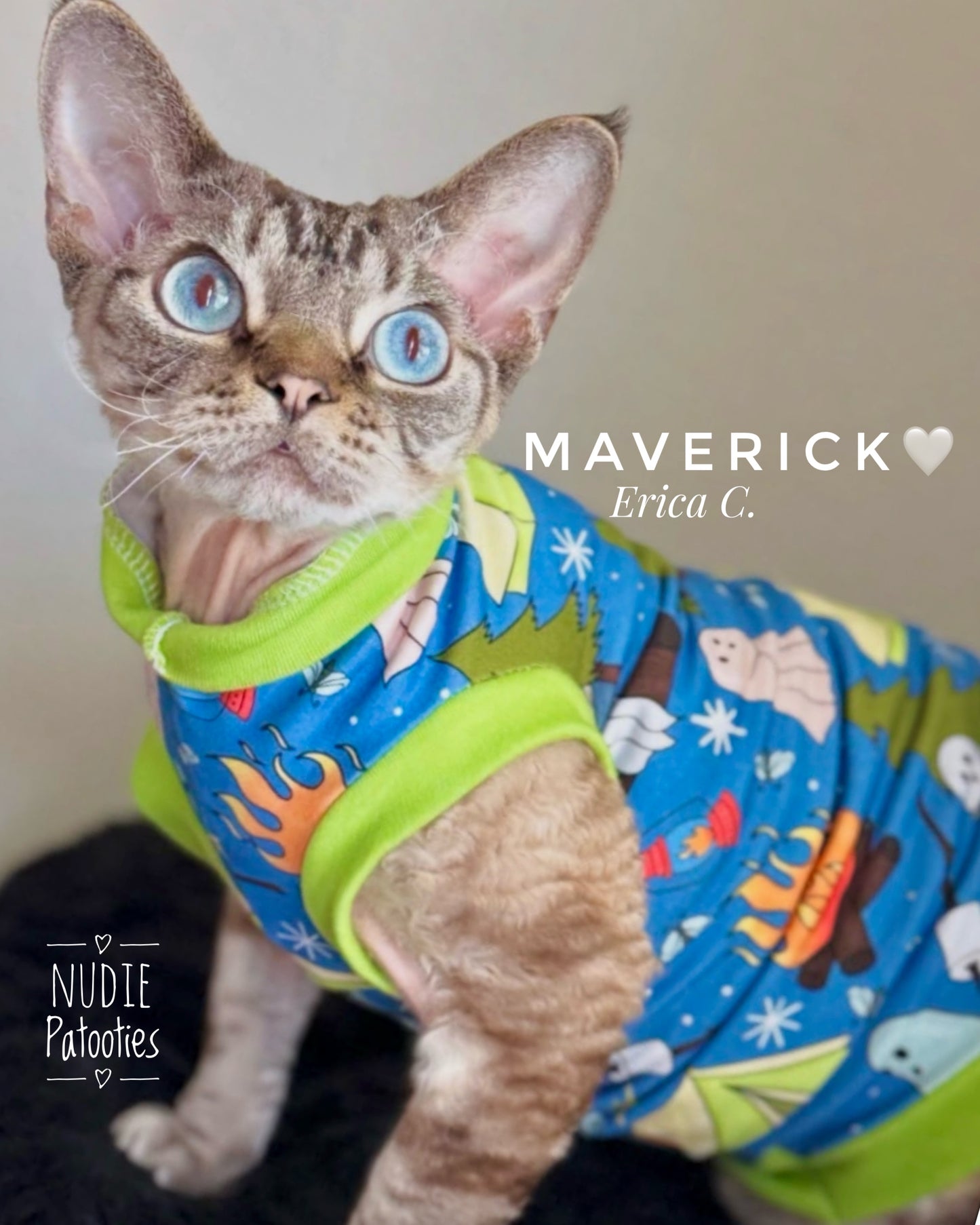 Best sphynx cat and kitten clothes and swag. Nudie Patooties