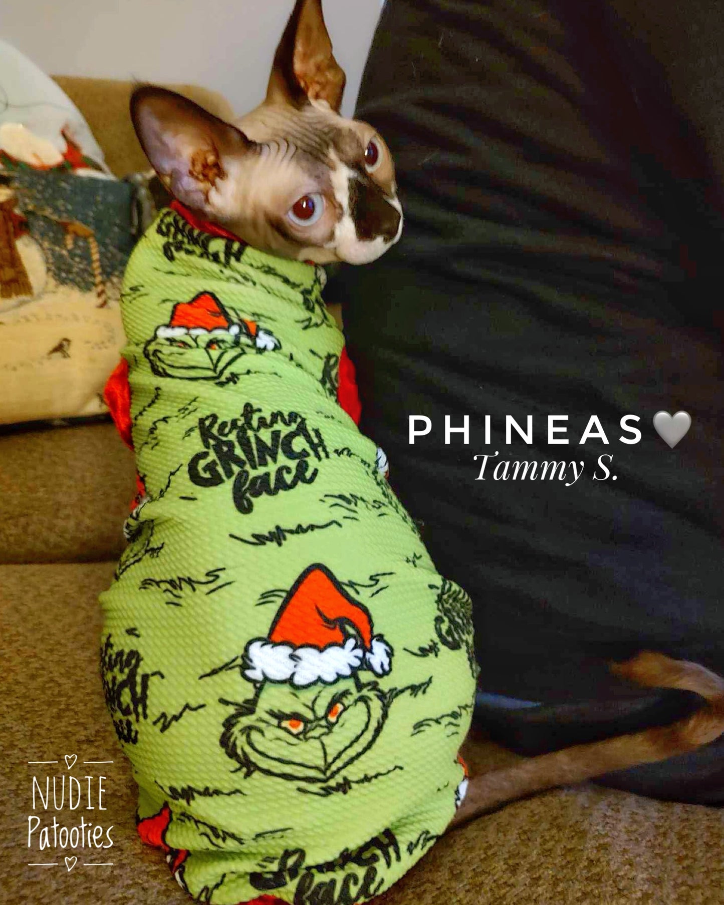 Resting Green Guy Face W/ Red Velvet