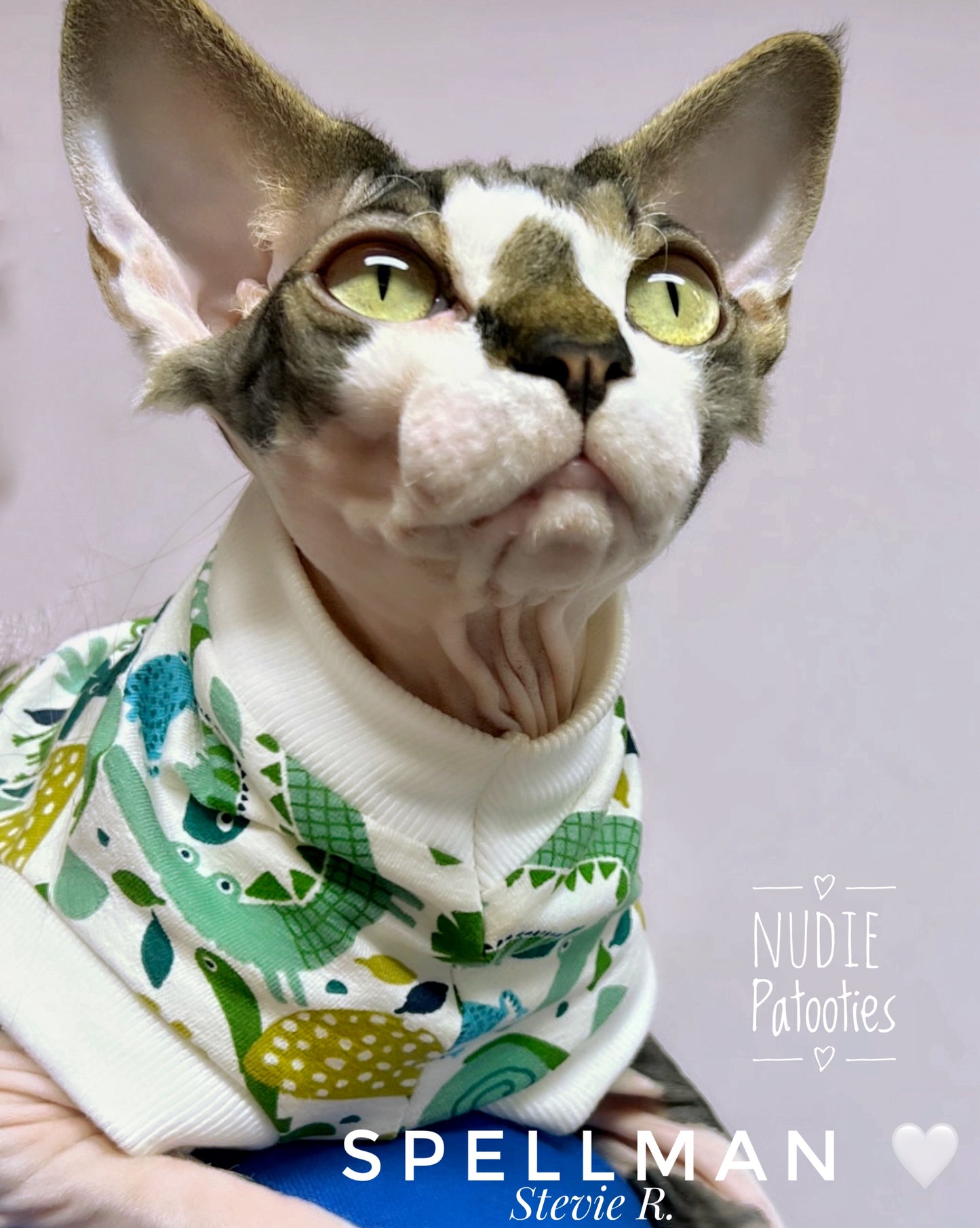Sphynx cat and kitten shirt. Sphynx cat clothes.