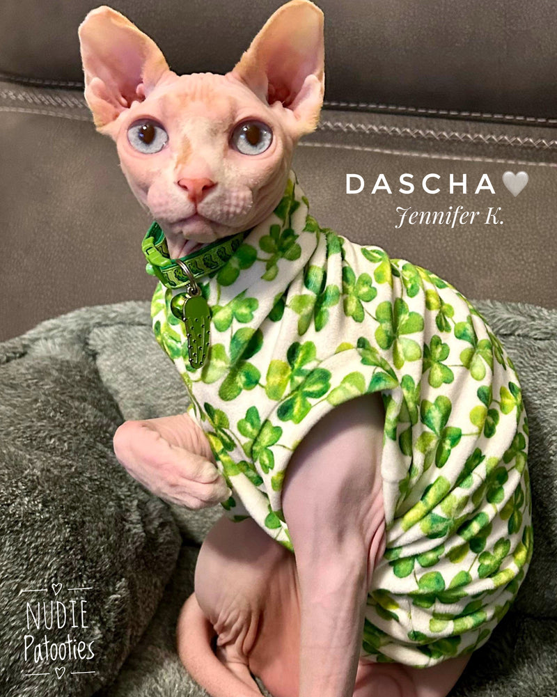 Sphynx cat and kitten shirt. Sphynx cat clothes.