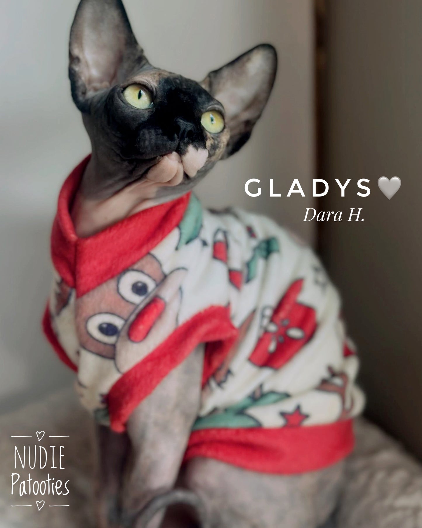 Best sphynx cat clothes. Sphynx cat and kitten shirts, sweaters, Christmas