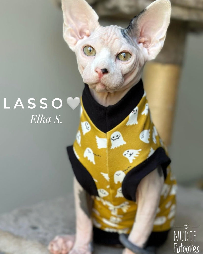 sphynx cat and kitten shirt. sphynx cat clothes