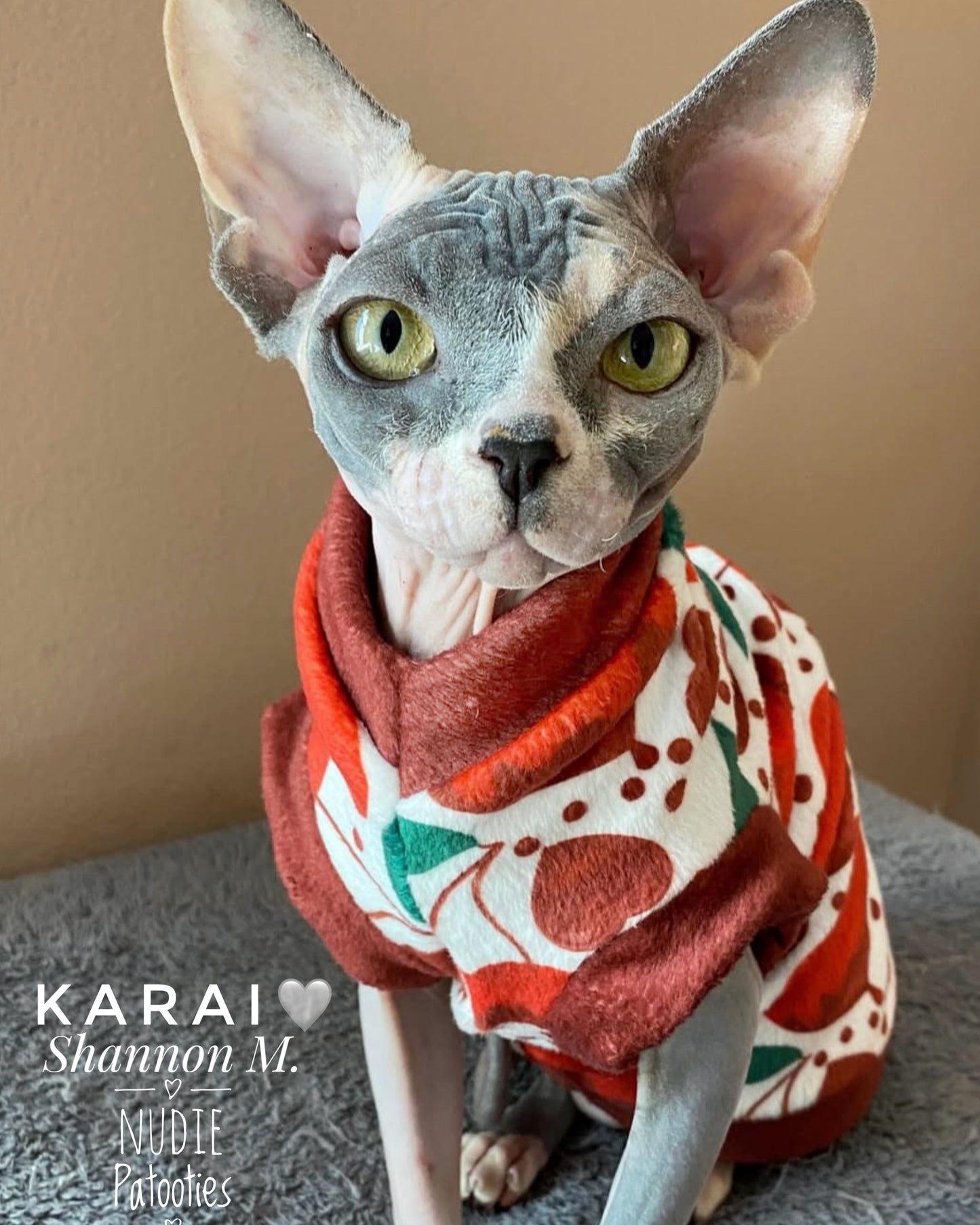 Nuggle Bug, Chocolate Covered Hearts & Cherries