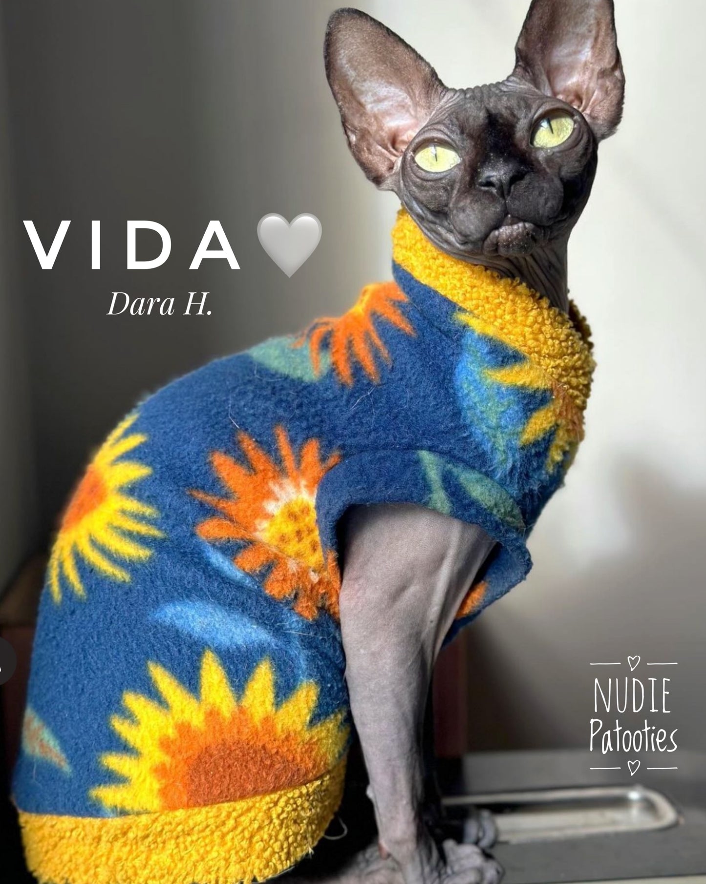 Sphynx cat and kitten fleece shirt. sphynx cat clothes