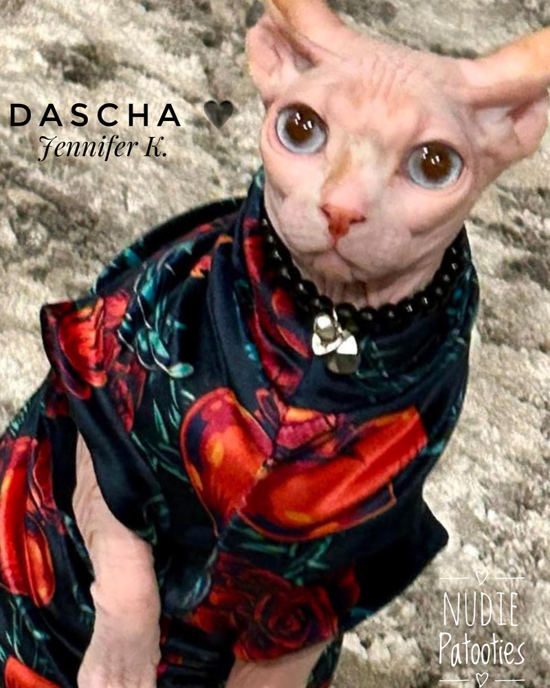 Addicted to Love sphynx cat and kitten valentine's shirt. Best sphynx cat clothes, sweaters and shirts. Hairless cat clothes.