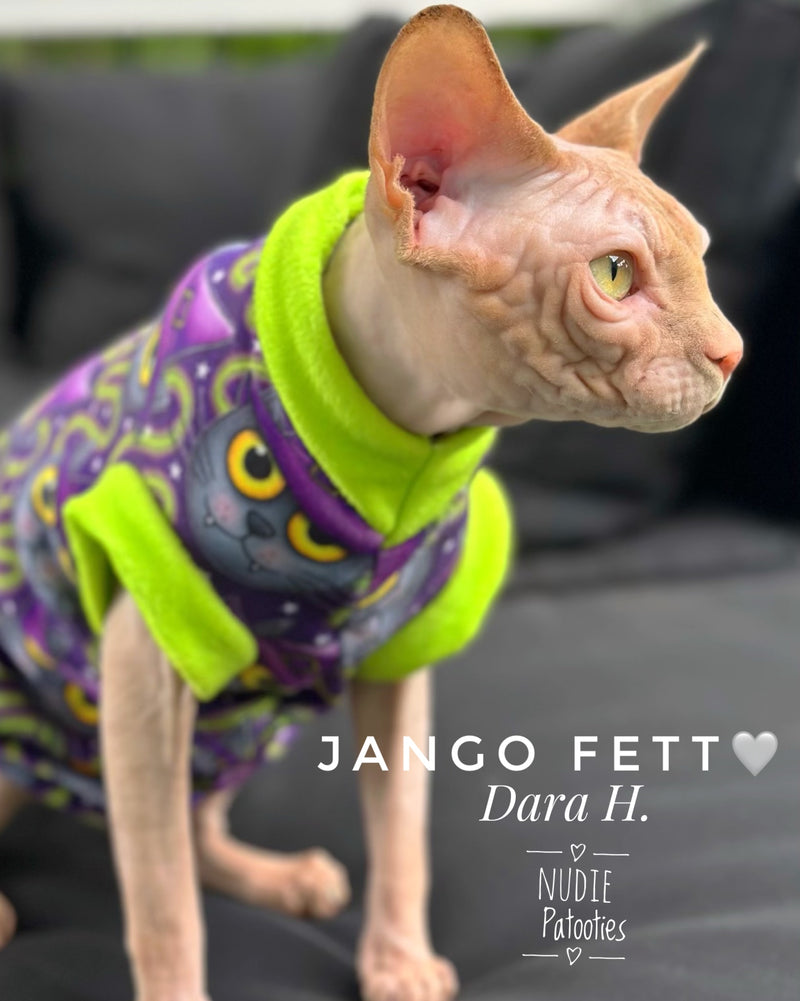 sphynx cat and kitten shirts. sphynx cat clothes