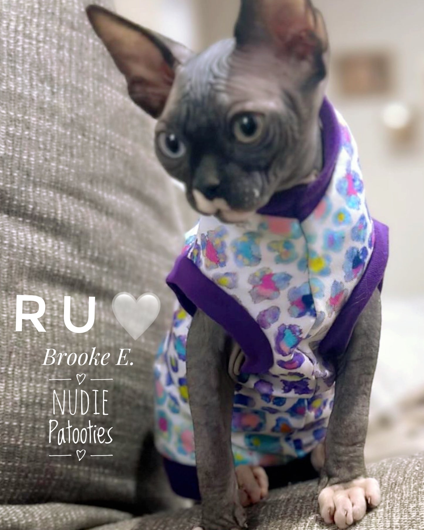 Sphynx cat and kitten shirt. Sphynx cat clothes
