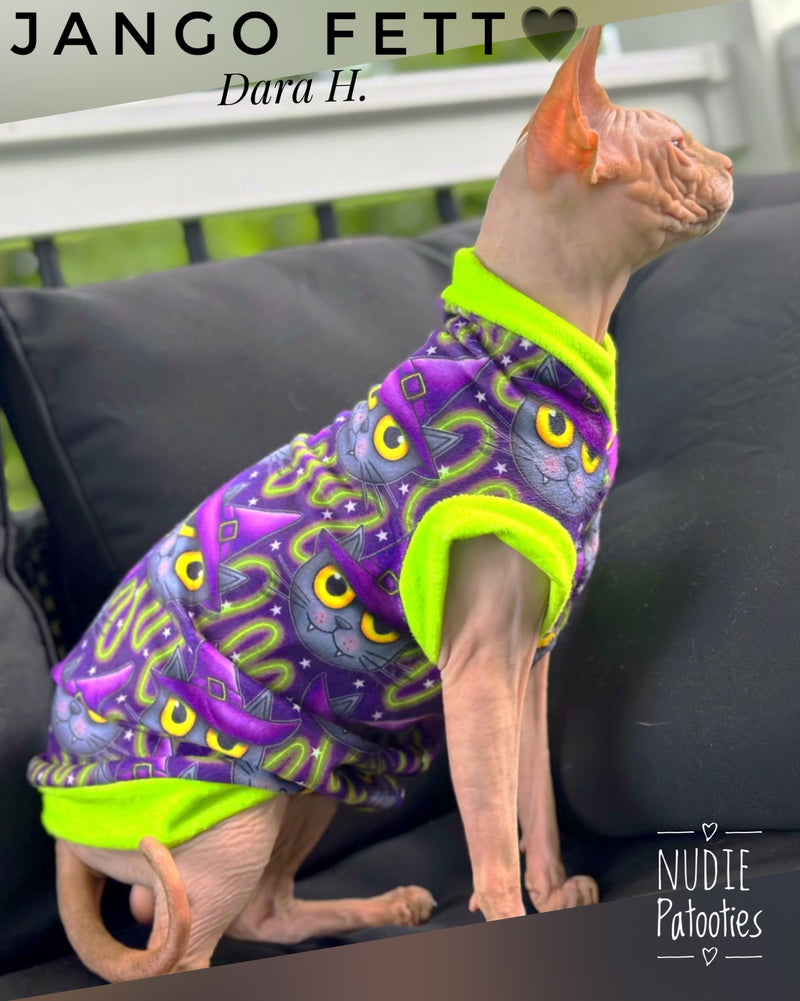 sphynx cat and kitten shirts. sphynx cat clothes