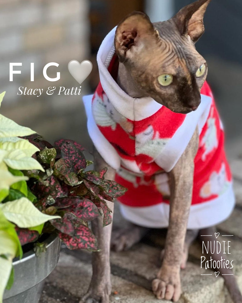 Sphynx cat and kitten fleece shirt. Sphynx cat clothes.