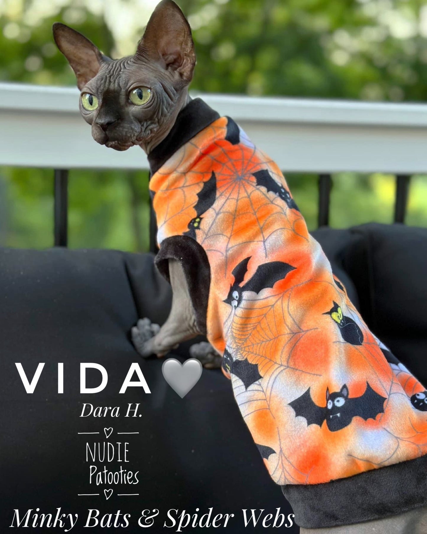 Sphynx cat and kitten shirt. Sphynx cat clothes