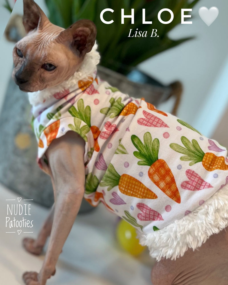 Sphynx cat Easter shirt with carrots, hearts and fur trim. Sphynx cat clothes