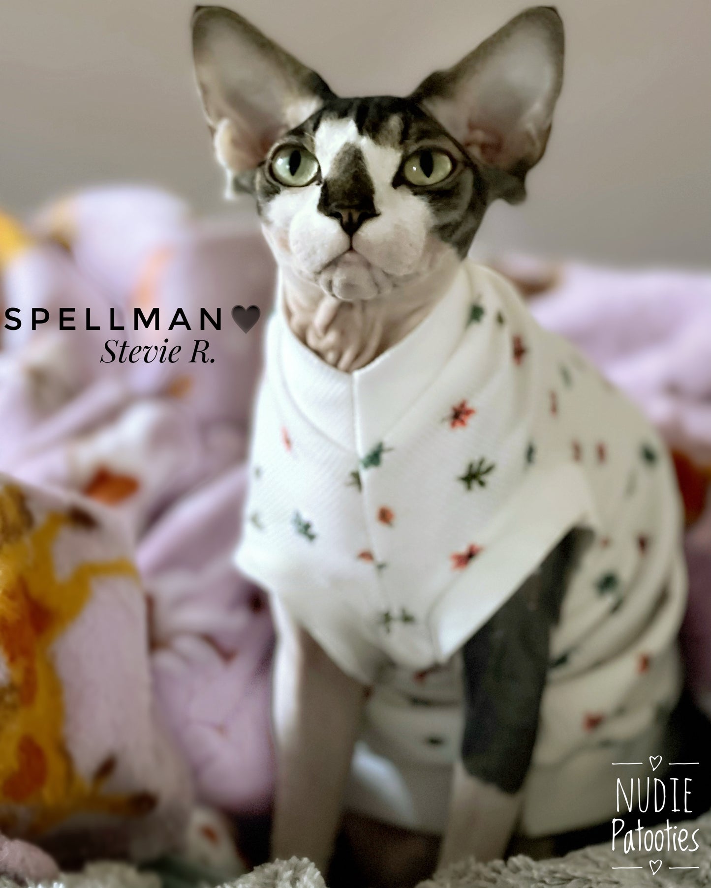 sphynx cat and kitten cotton waffle shirt. sphynx cat clothes. Best sphynx cat clothes and shirts.