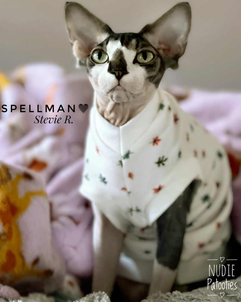 sphynx cat and kitten cotton waffle shirt. sphynx cat clothes. Best sphynx cat clothes and shirts.