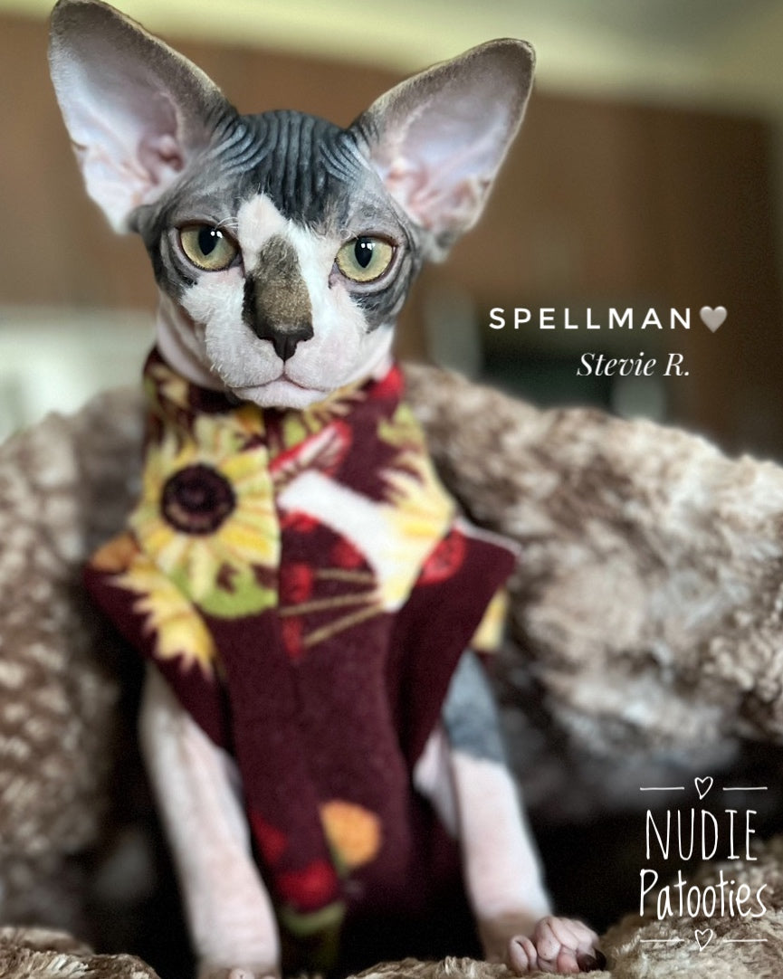 Sphynx cat and kitten shirt. Sphynx cat and kitten shirt. Best sphynx cat and kitten clothes, shirts and swag.