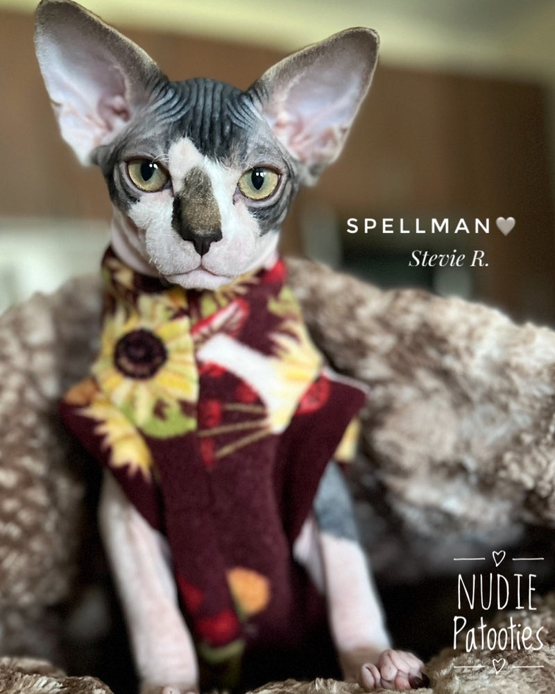 Sphynx cat and kitten shirt. Sphynx cat and kitten shirt. Best sphynx cat and kitten clothes, shirts and swag.