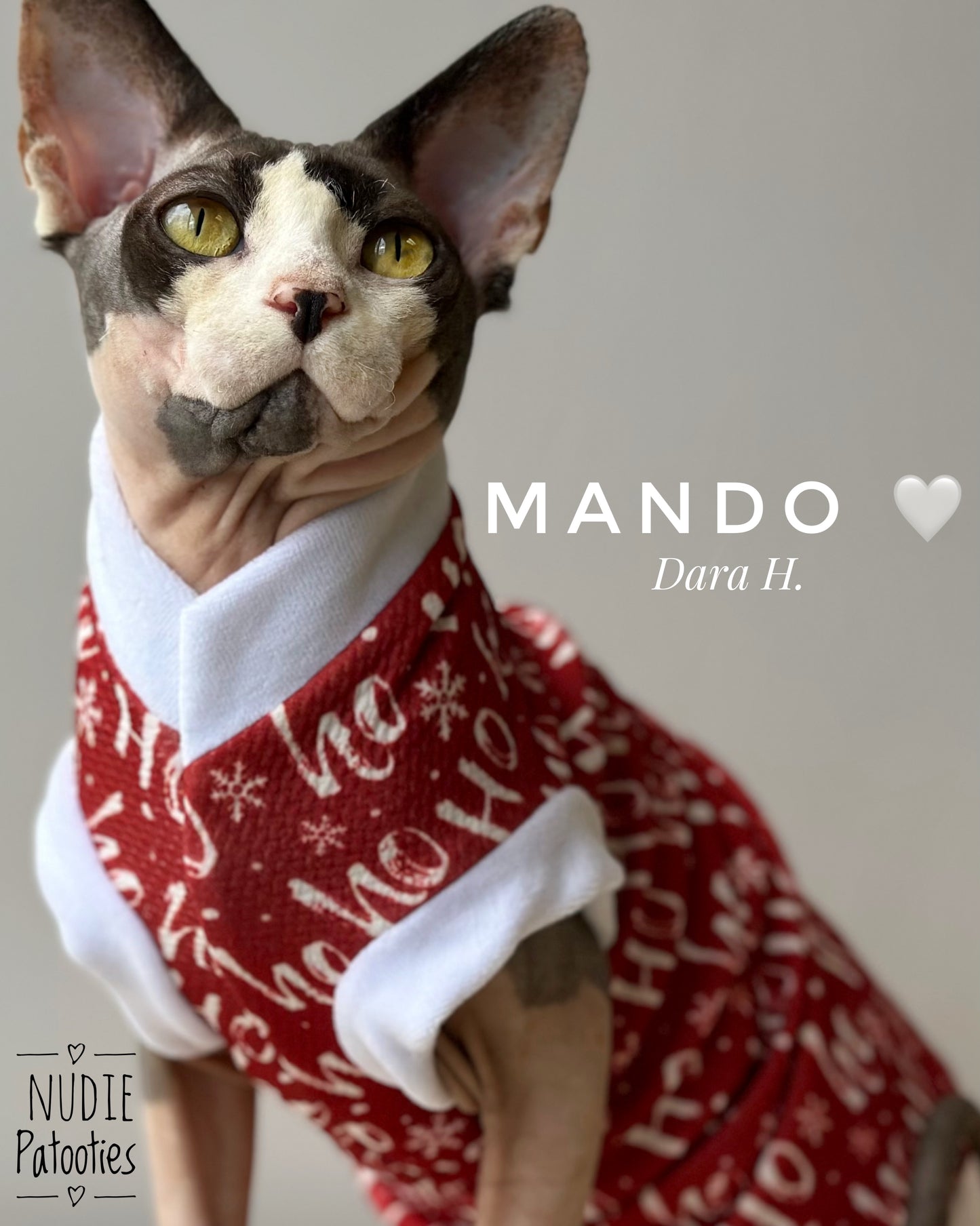 Christmas shirt for sphynx cat and kitten. Sphynx cat clothes.
