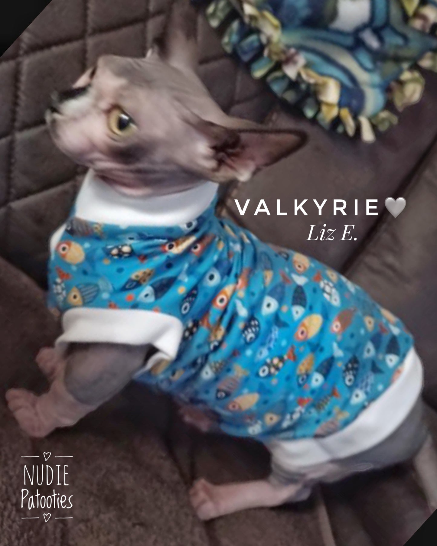 Colorful Fish, "I'm a Catch"