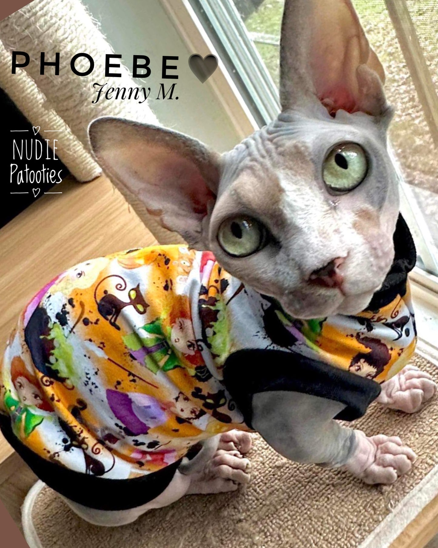 Best Sphynx cat clothing. Hairless cat apparel. Sphynx cat sweaters. Cat clothes for hairless cats. Warm sphynx cat outfits. Sphynx cat hoodies. Cozy cat wear. Cat shirts for Sphynx. Pet clothing for Sphynx cats. Winter clothes for sphynx cats. Sphynx cat fashion. Hairless cat t-shirts. Soft cat jumpers. Seasonal cat clothing.