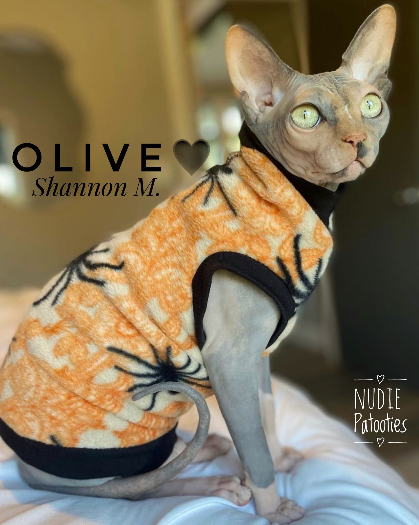 Sphynx cat and kitten warm and soft fleece shirt. Sphynx cat clothes.