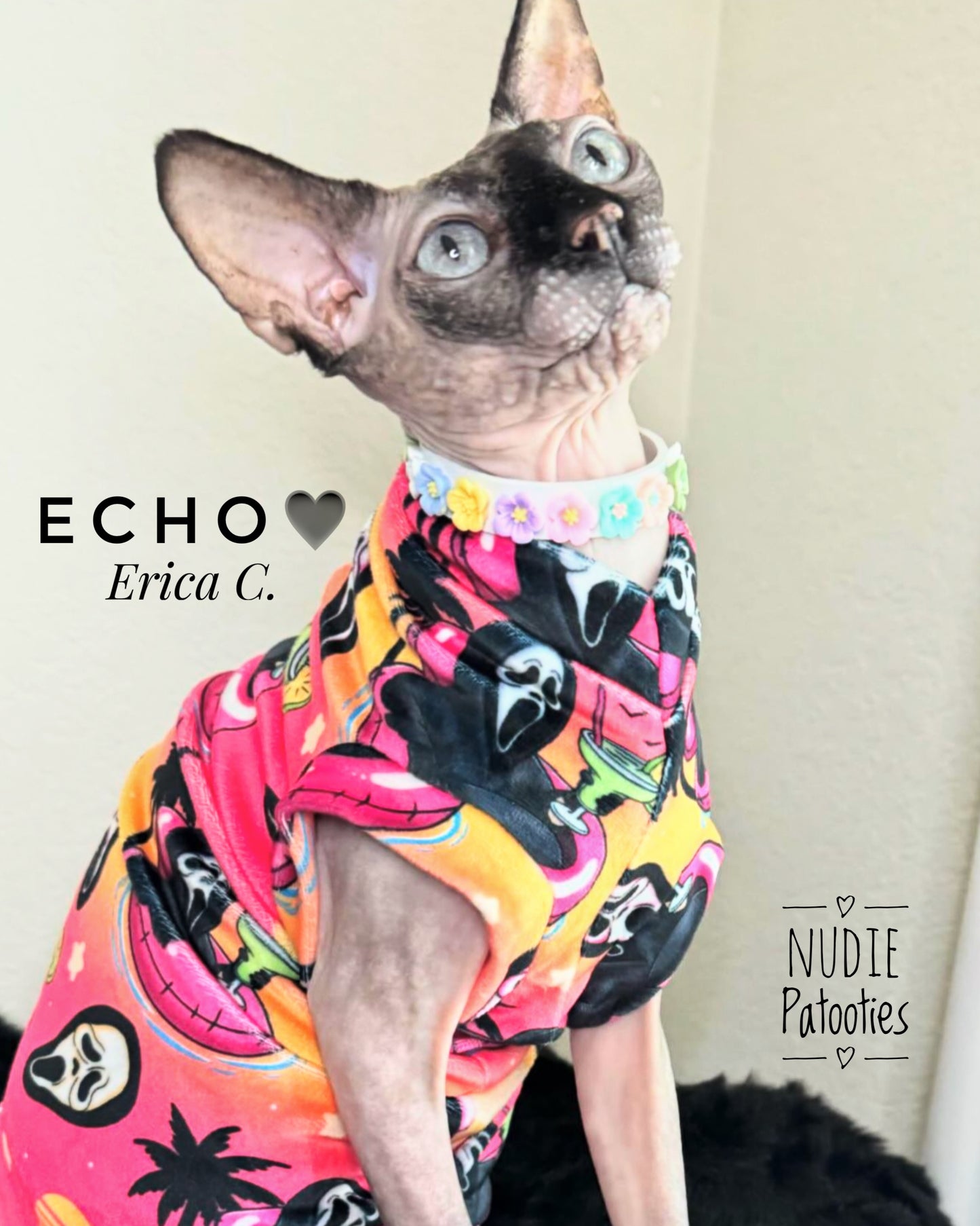 Sphynx cat and kitten bright and plush shirts. Sphynx cat clothes and sweaters.