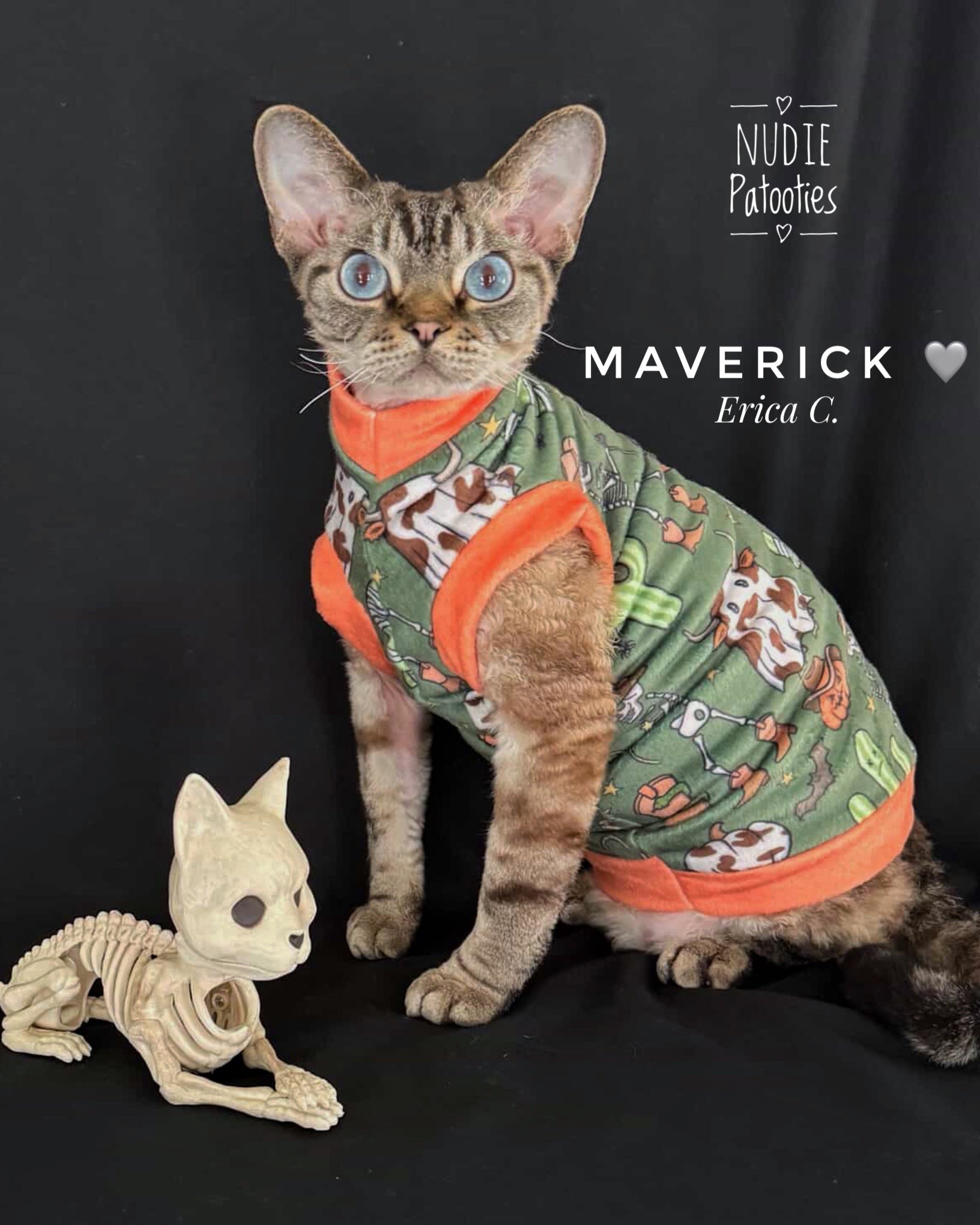 Best sphynx cat clothes, shirts and swag