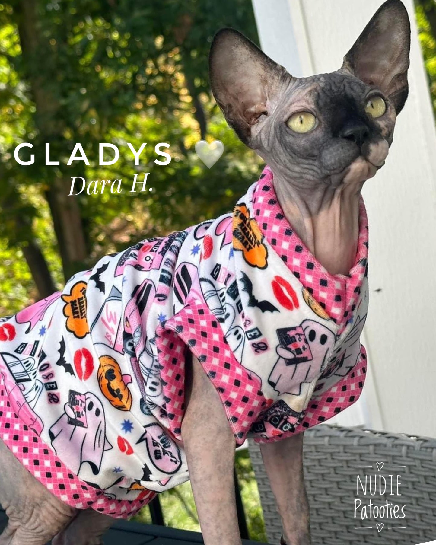 Best Sphynx cat clothing. Hairless cat apparel. Sphynx cat sweaters. Cat clothes for hairless cats. Warm sphynx cat outfits. Sphynx cat hoodies. Cozy cat wear. Cat shirts for Sphynx. Pet clothing for Sphynx cats. Winter clothes for sphynx cats. Sphynx cat fashion. Hairless cat t-shirts. Soft cat jumpers. Seasonal cat clothing.