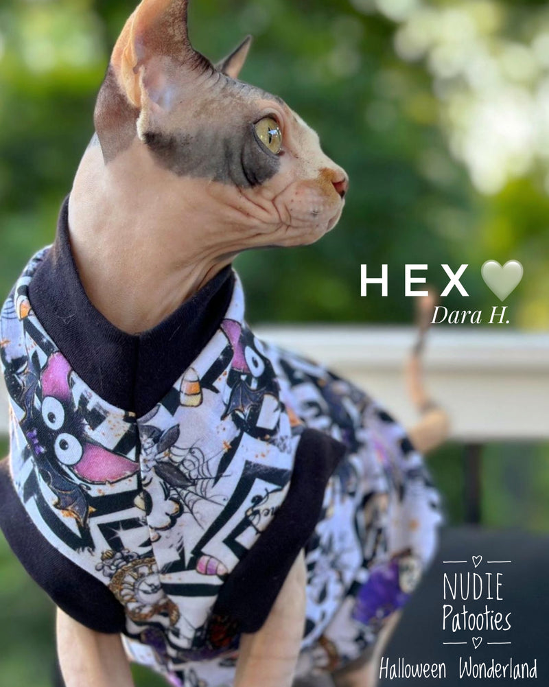 sphynx cat and kitten shirt. sphynx cat clothes