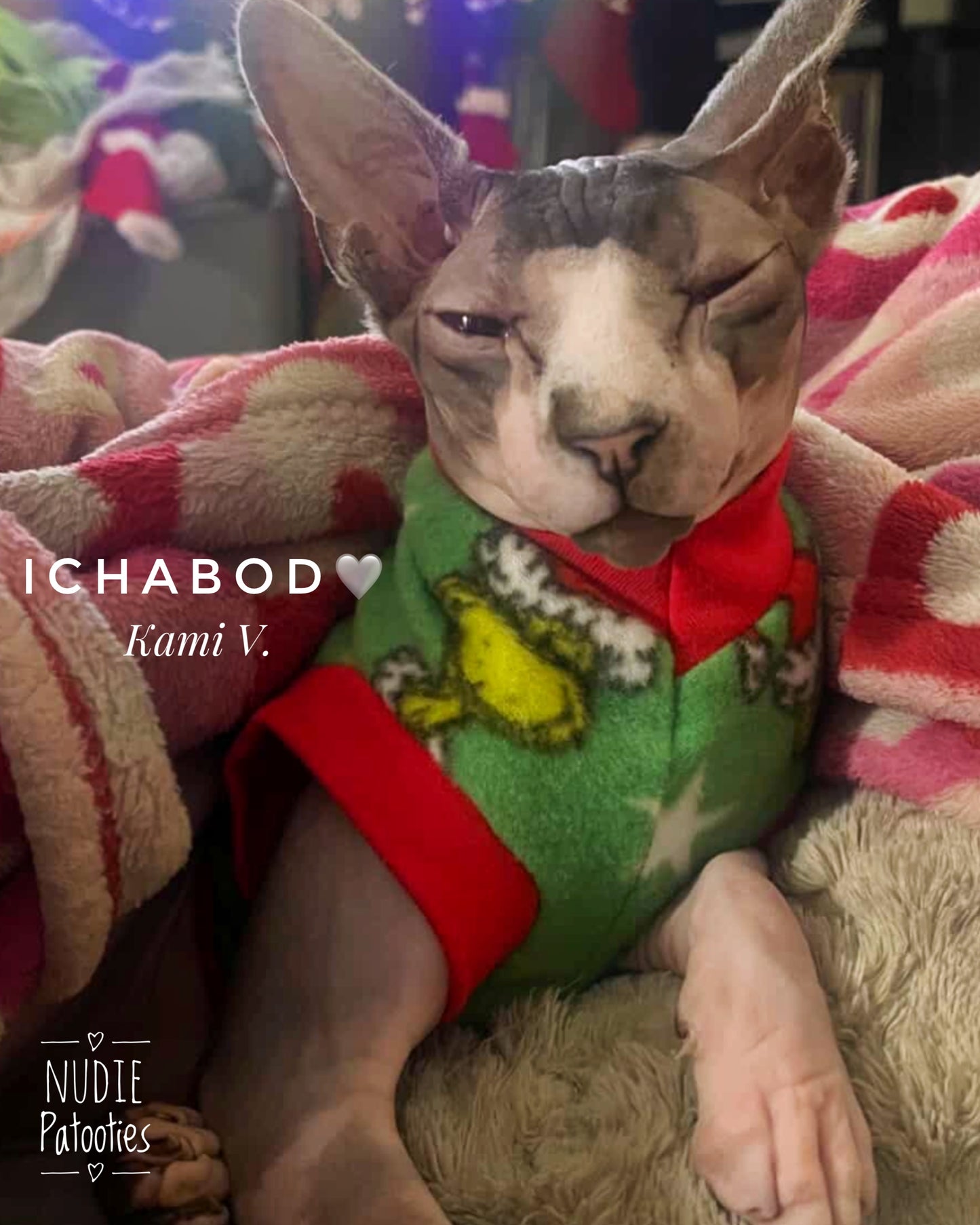 Grumpy Green Guy Fleece “He’s a Mean One”