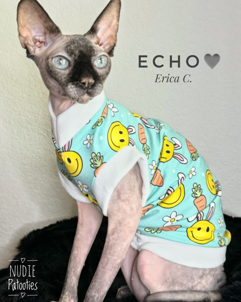 Sphynx cat and kitten shirt. Sphynx cat clothes