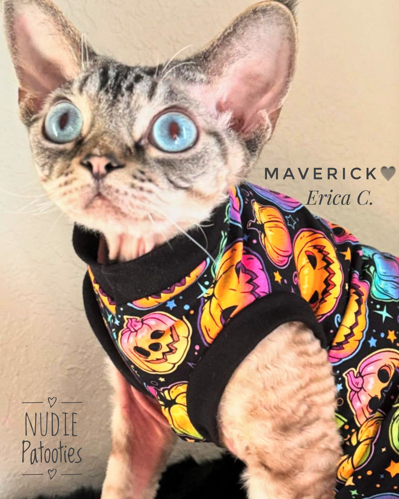 Sphynx cat and kitten neon pumpkins Halloween shirt. Sphynx cat clothes.