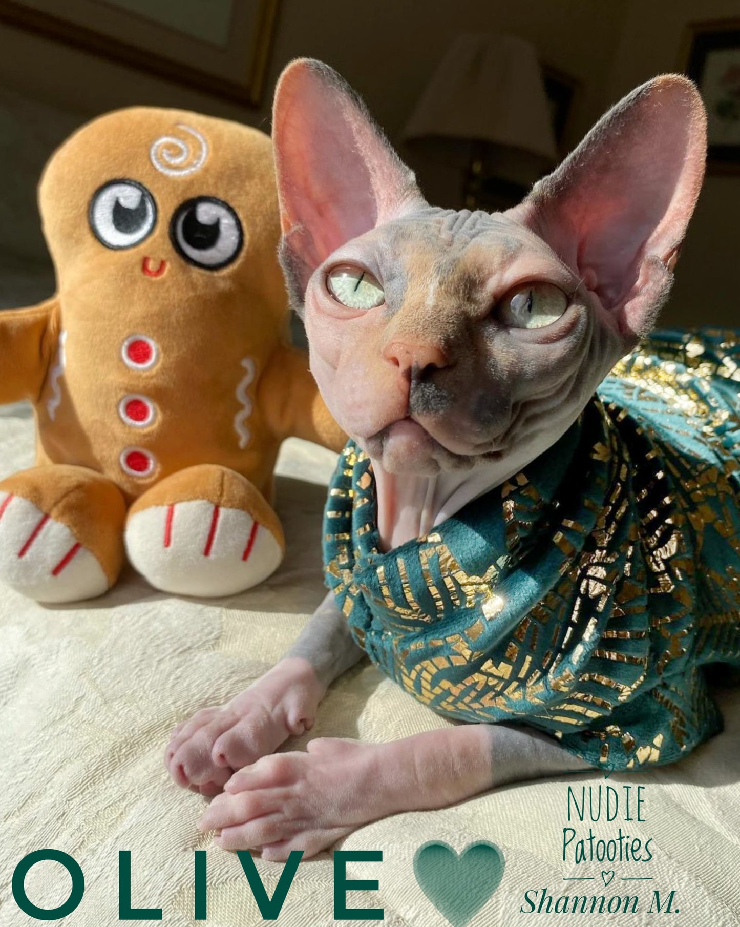 Sphynx cat and kitten shirt. Sphynx cat clothes