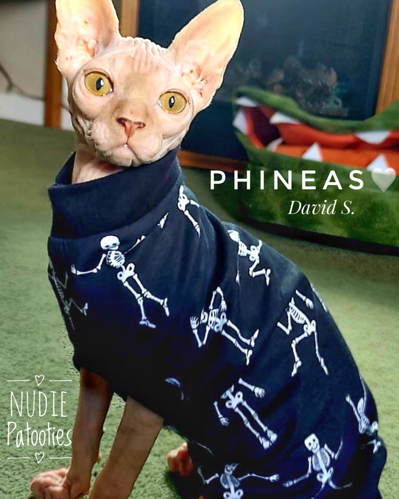 Sphynx cat and kitten skeleton shirt. Sphynx cat clothes.