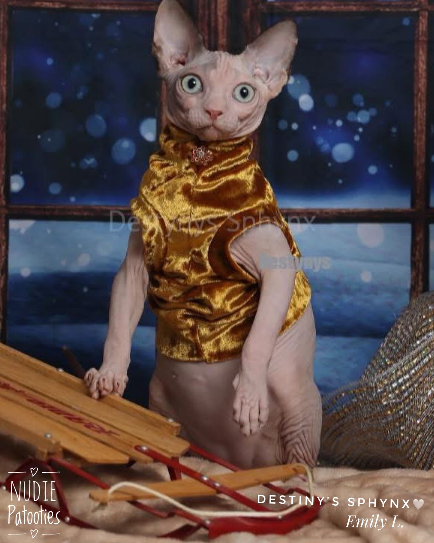 Gold Velvet w/ Jewel