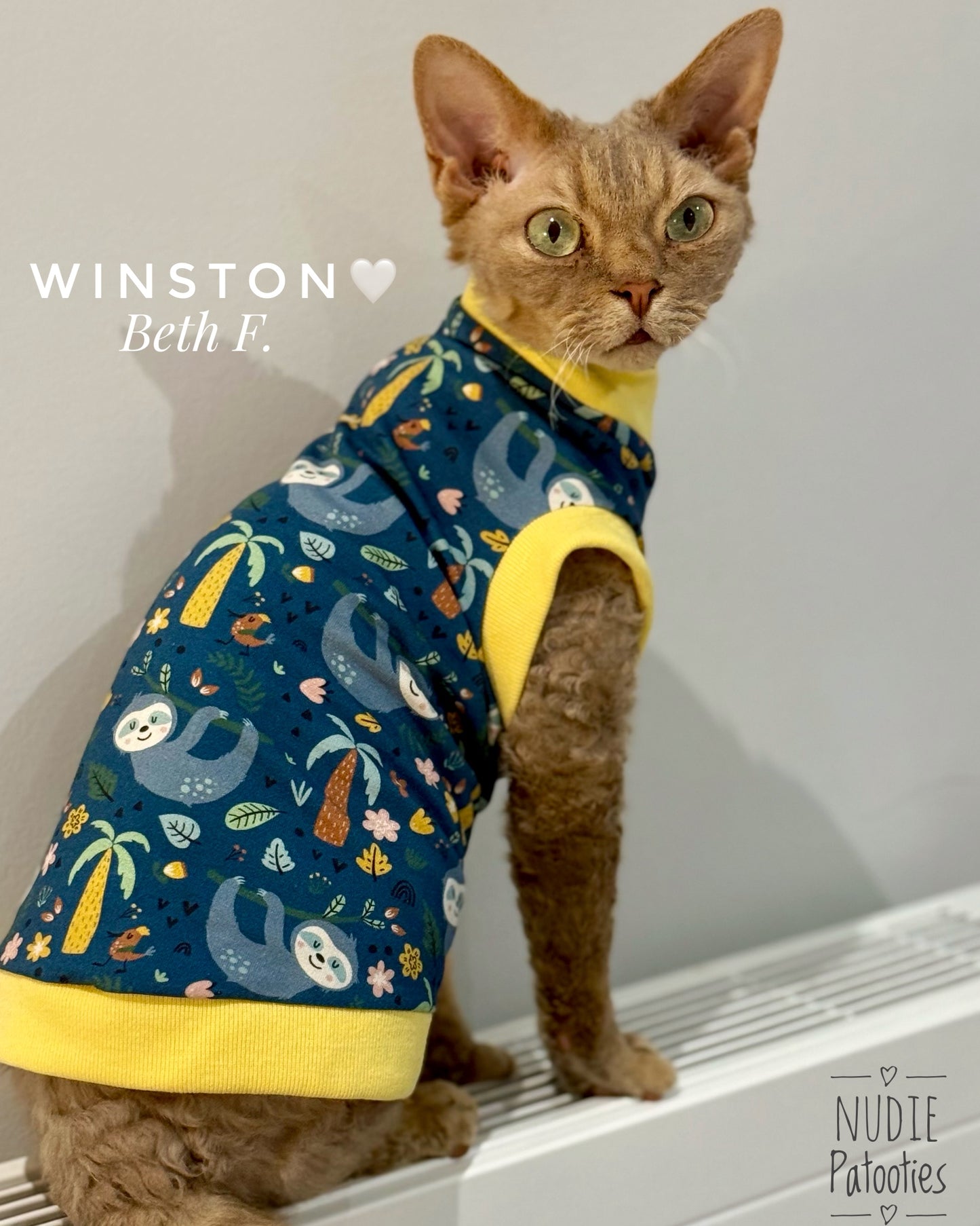 Best sphynx cat and kitten summer clothes. Sphynx and hairless cat shirts, sweaters and clothes.