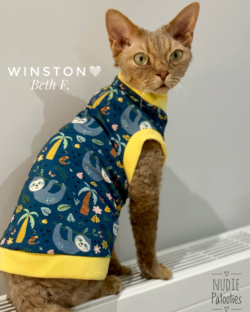Best sphynx cat and kitten summer clothes. Sphynx and hairless cat shirts, sweaters and clothes.