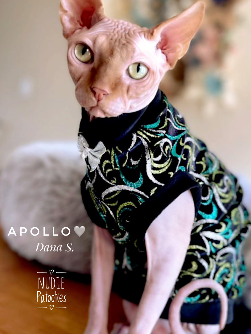 Sphynx cat holiday shirt. Best Sphynx cat clothes