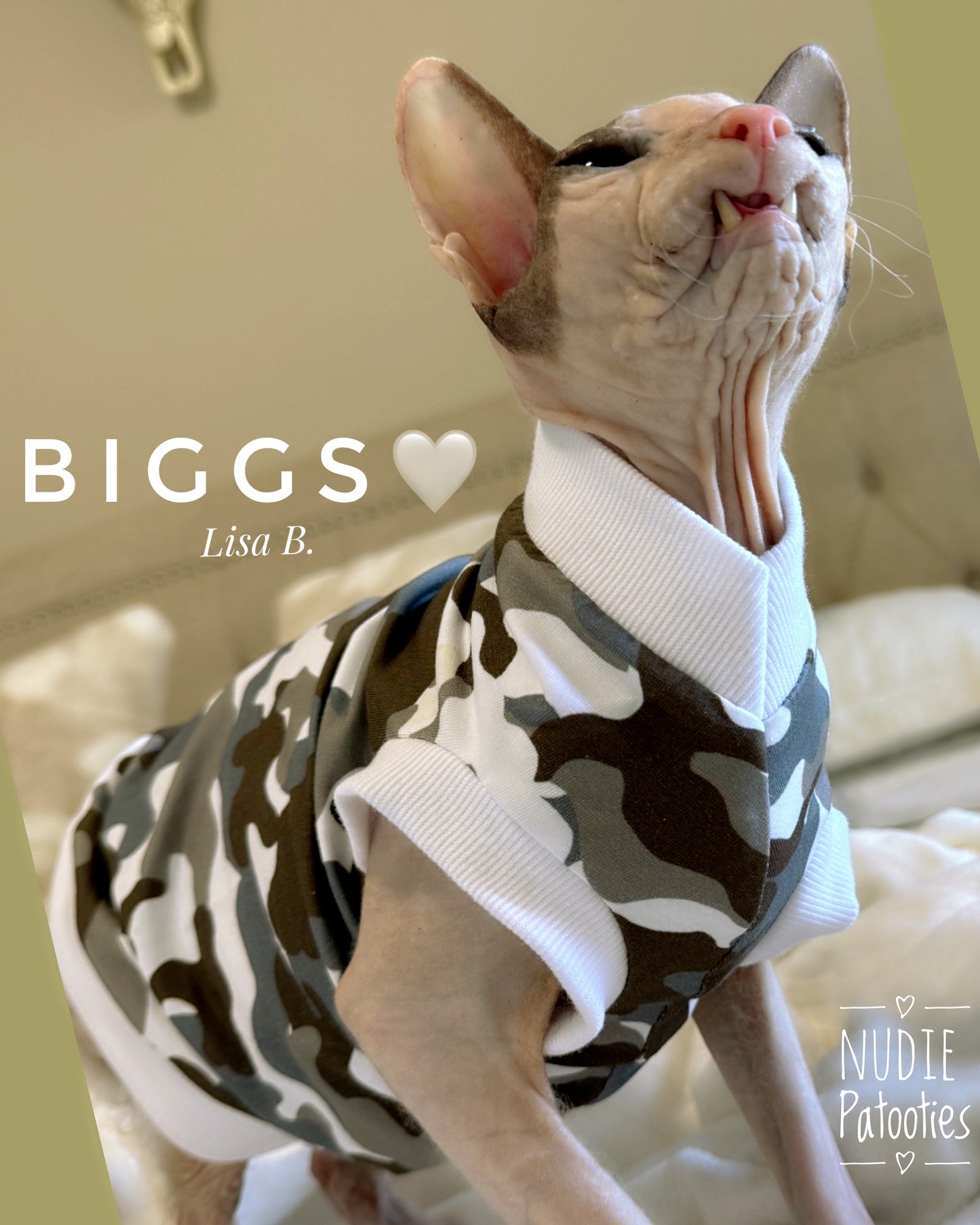 Best Sphynx cat clothing. Hairless cat apparel. Sphynx cat sweaters. Cat clothes for hairless cats. Warm sphynx cat outfits. Sphynx cat hoodies. Cozy cat wear. Cat shirts for Sphynx. Pet clothing for Sphynx cats. Winter clothes for sphynx cats. Sphynx cat fashion. Hairless cat t-shirts. Soft cat jumpers. Seasonal cat clothing.