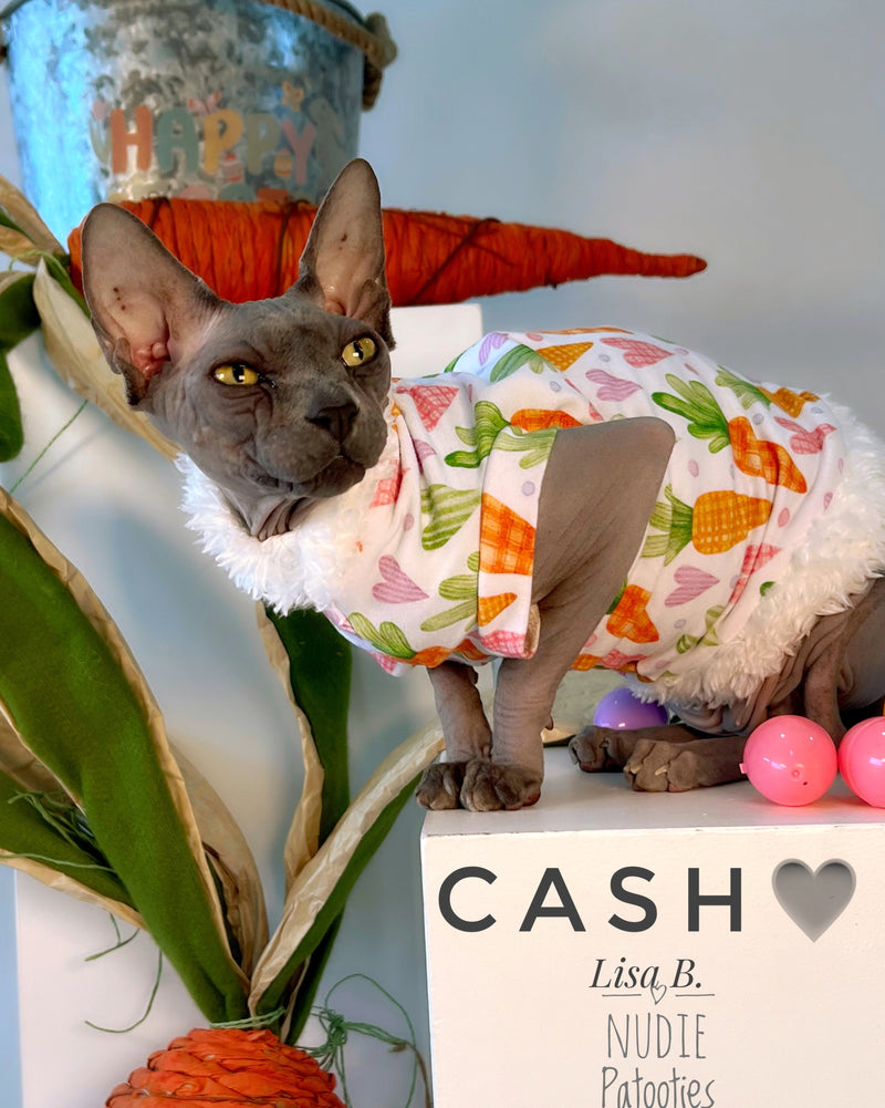 Sphynx cat Easter shirt with carrots, hearts and fur trim. Sphynx cat clothes