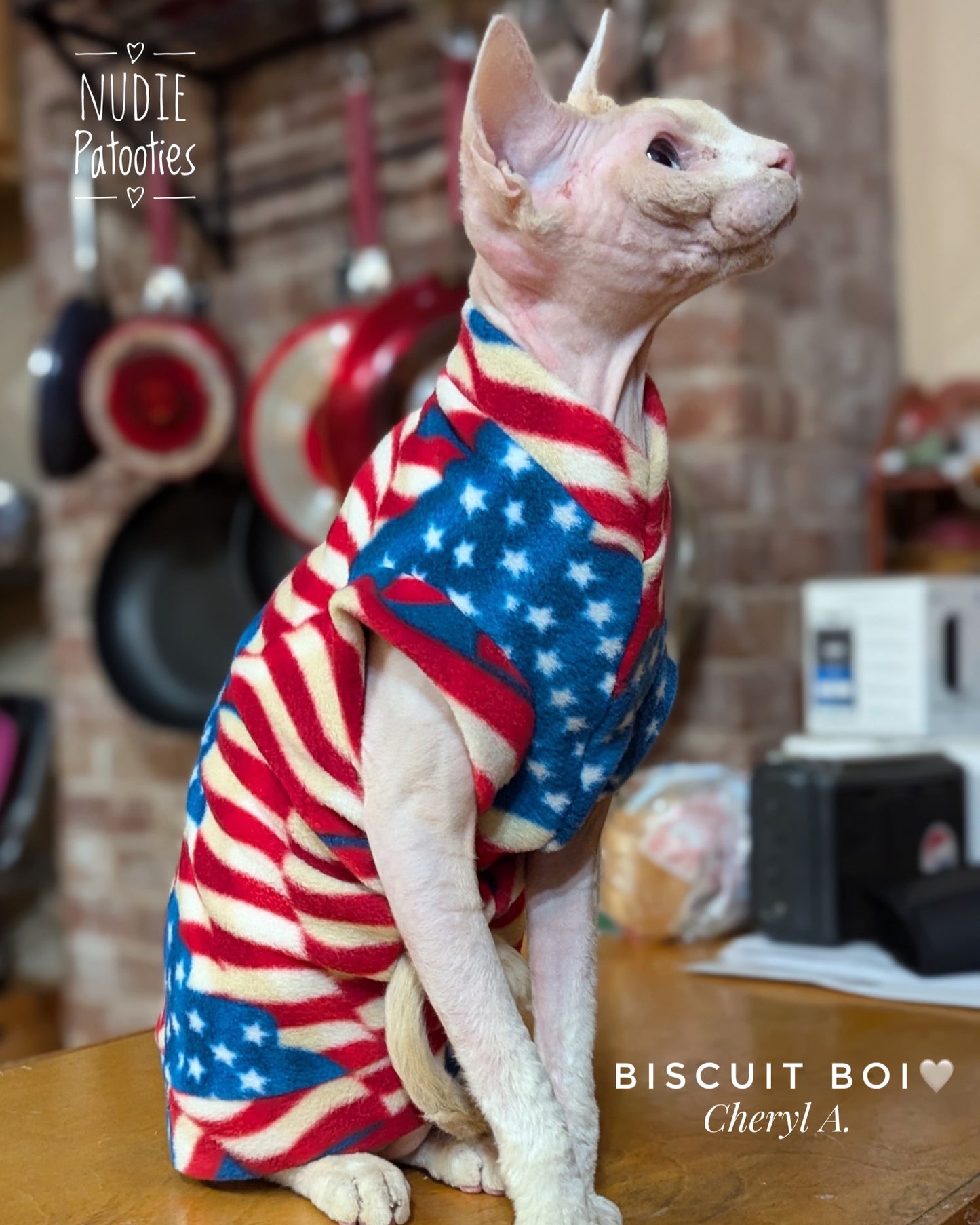 4th of July patriotic Flag fleece shirt for sphynx cat. Sphynx cat clothes.