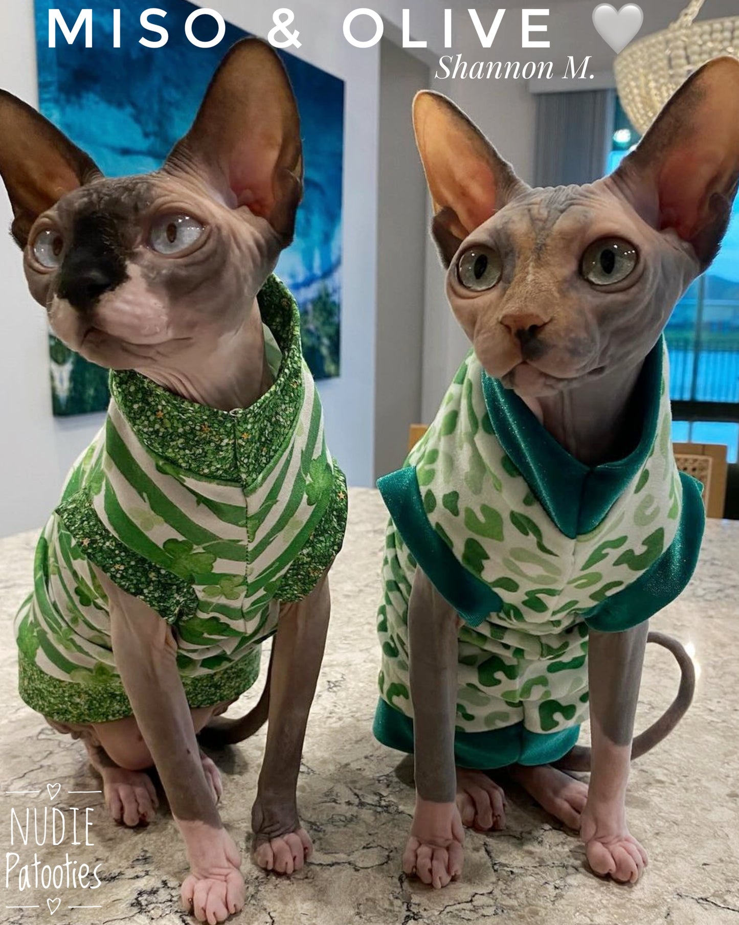 Sphynx cat and kitten fleece shirt. sphynx cat clothes